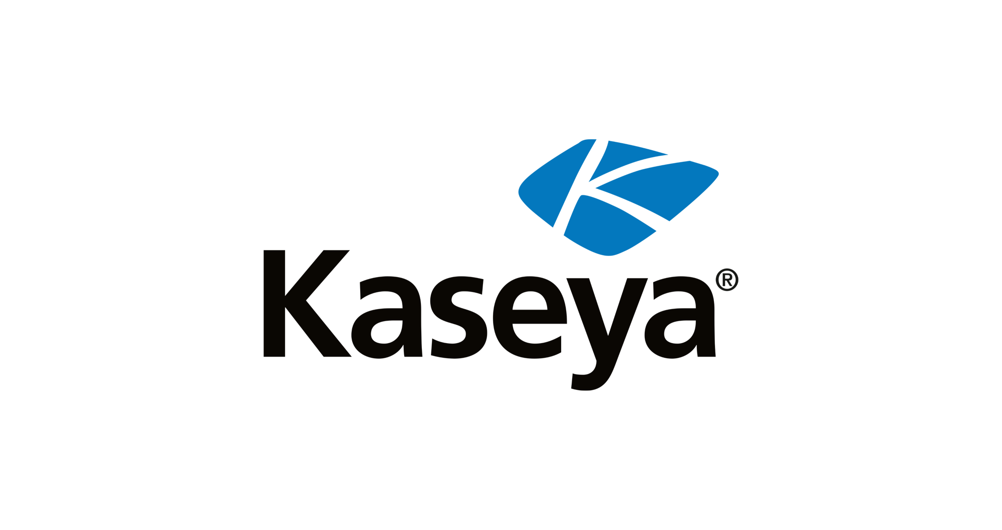 Kaseya endpoint management software dashboard for monitoring and securing IT systems